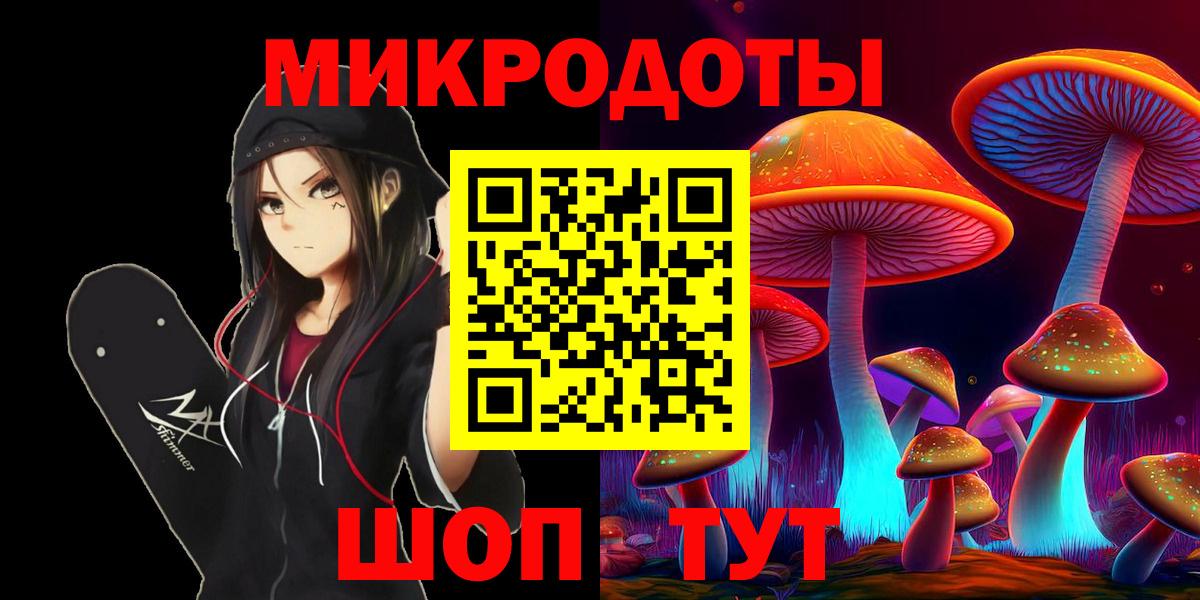 Псилоцибиновые грибы Psilocybine cubensis Северобайкальск