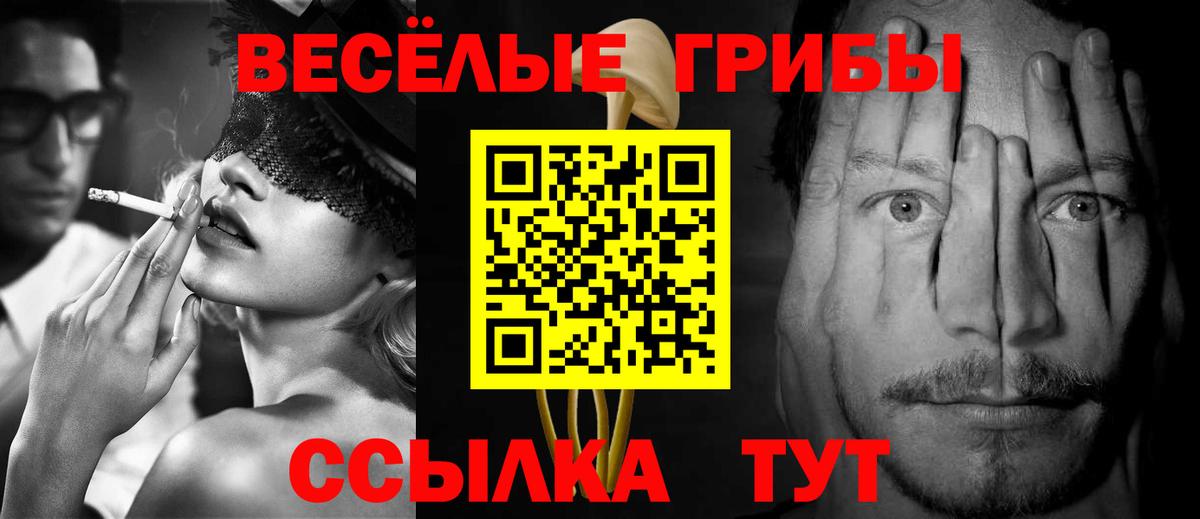 Северобайкальск  Псилоцибиновые грибы MAGIC MUSHROOMS  как найти закладки  Вход с VPN 