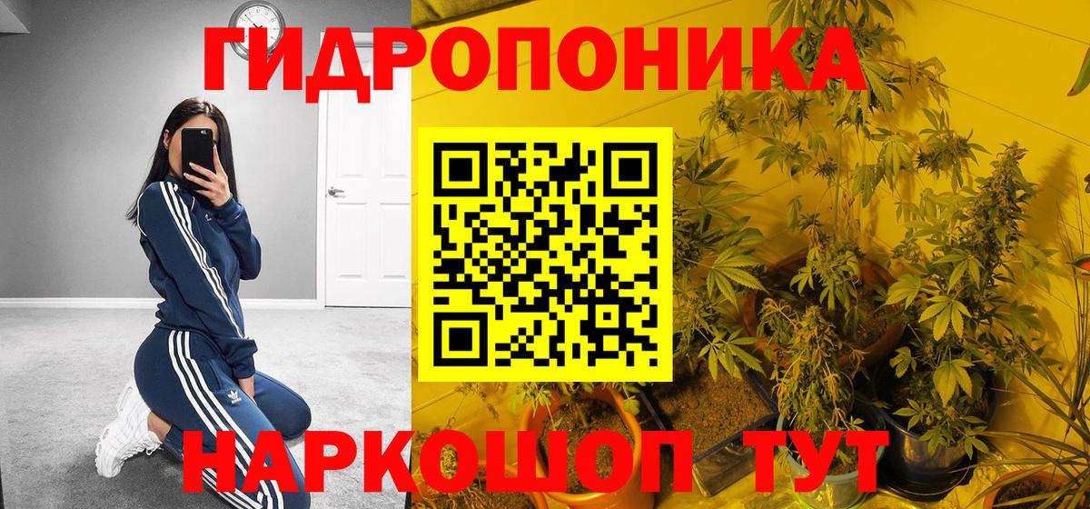МАРИХУАНА планчик Северобайкальск